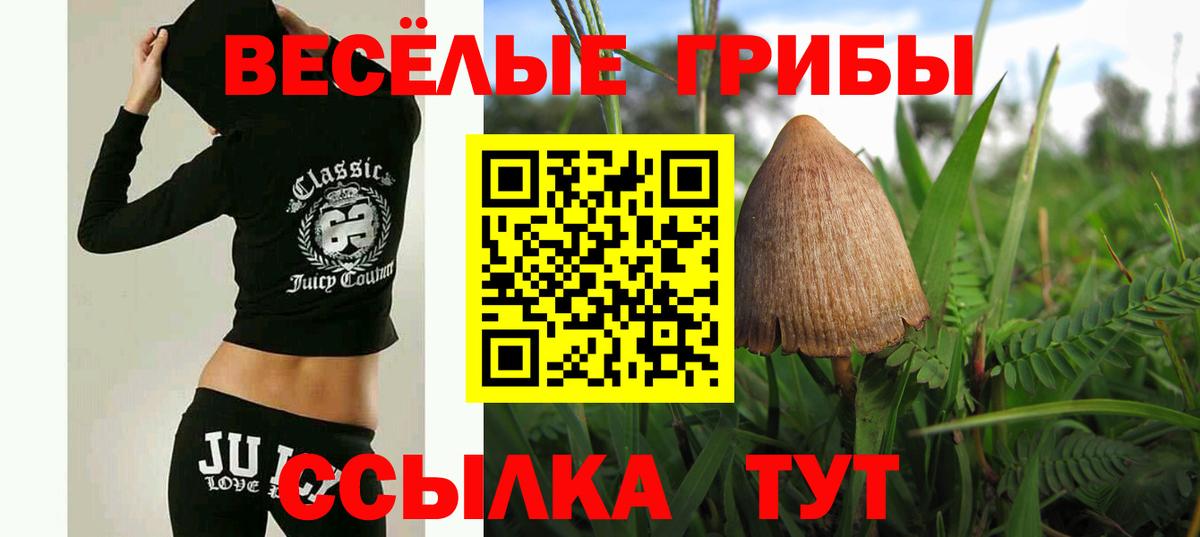 Псилоцибиновые грибы Psilocybe  Вход с VPN  Саяногорск 